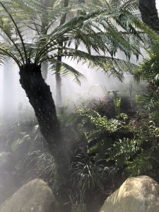 special effects fogging system